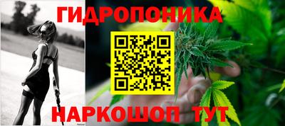 шишки Нальчик