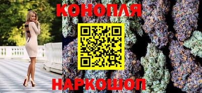 шишки Нальчик