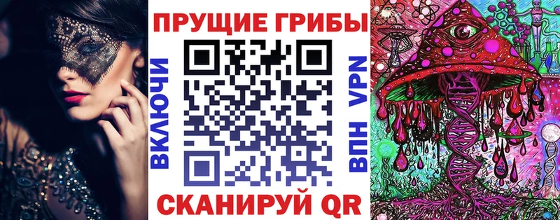 Галлюциногенные грибы Magic Shrooms  купить   Вологда 