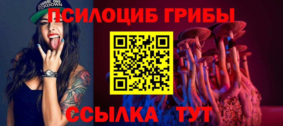 Псилоцибиновые грибы Magic Shrooms  Вход с VPN  наркотики  Вологда 